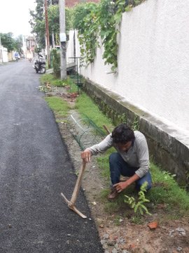 Activities of Anavi - Dehradun