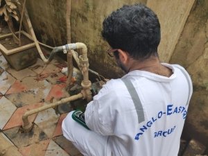 Activities of Anavi - Kochi