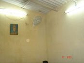 Activities of Anavi - Kolkata