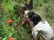 Activities of Anavi - Kolkata