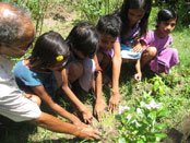 Activities of Anavi - Kolkata