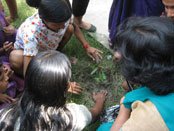 Activities of Anavi - Kolkata