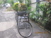 Activities of Anavi - Kolkata