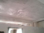 Activities of Anavi - Kolkata