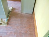 Activities of Anavi - Kolkata