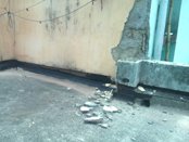 Activities of Anavi - Kolkata