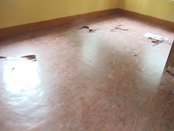 Activities of Anavi - Kolkata