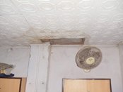 Activities of Anavi - Kolkata