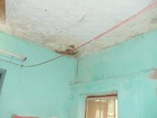 Activities of Anavi - Kolkata