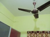 Activities of Anavi - Kolkata