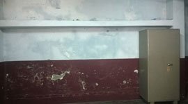 Activities of Anavi - Kolkata