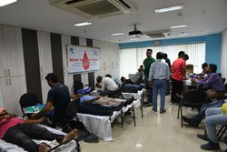 Activities of Anavi - Kolkata