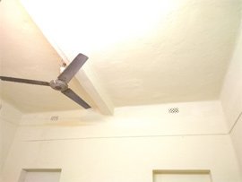 Activities of Anavi - Kolkata