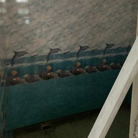 Activities of Anavi - Kolkata