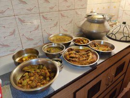 Activities of Anavi - Kolkata