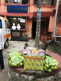 Activities of Anavi - Kolkata