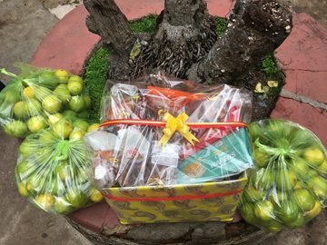 Activities of Anavi - Kolkata