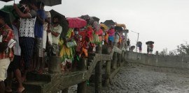 Activities of Anavi - Kolkata