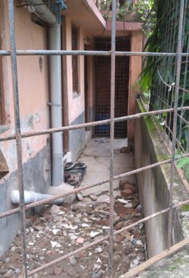 Activities of Anavi - Kolkata