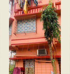 Activities of Anavi - Kolkata