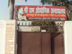 Activities of Anavi - Lucknow