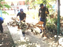 Activities of Anavi - Mumbai