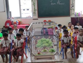 Activities of Anavi - Mumbai