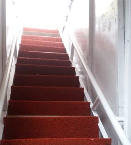 Activities of Anavi - Mumbai