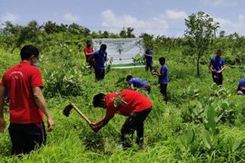 Activities of Anavi - Mumbai