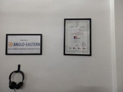 Activities of Anavi - Mumbai